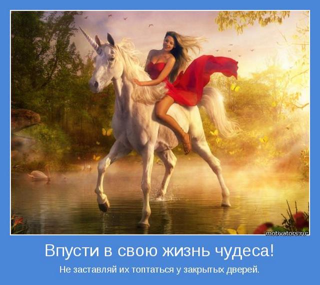 4743317_motivator56634 (640x570, 53Kb)