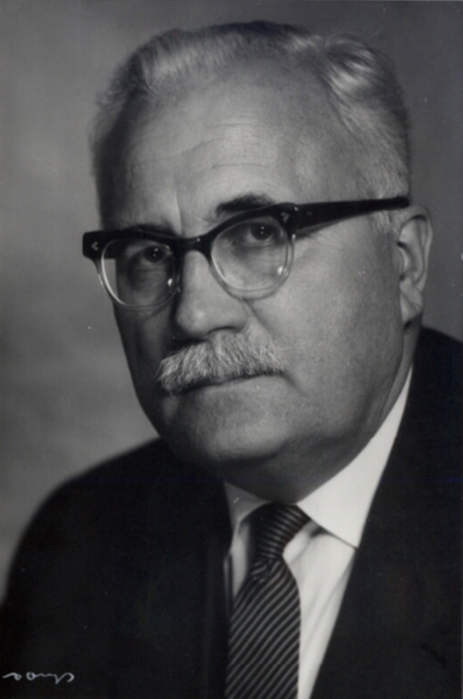 Doroszewski (463x700, 386Kb)