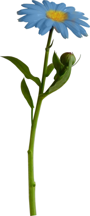 0_9d3bd_6480efbb_XXXL (292x700, 104Kb)
