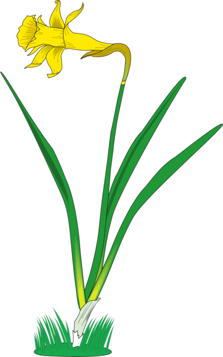 55603-4-f (437x700, 119Kb)