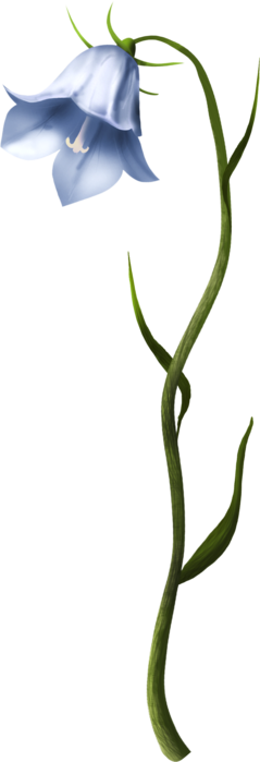 5143456 (239x700, 72Kb)