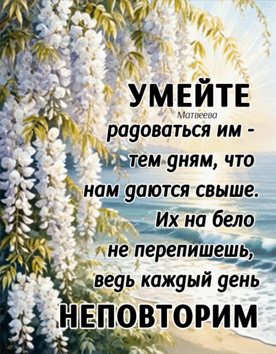 IMG_20250518_175514 (544x700, 8657Kb)