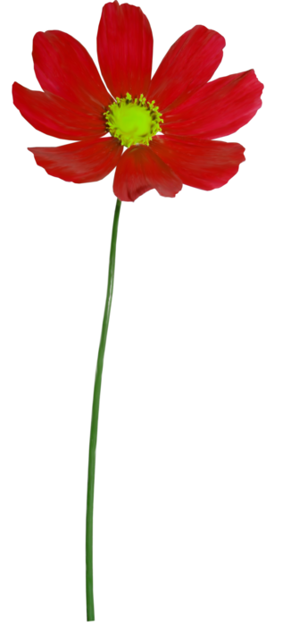      (47) (326x700, 95Kb)