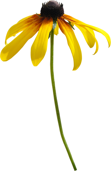    (21) (454x700, 132Kb)