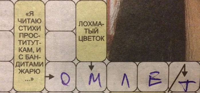 1161737_omlet (700x327, 39Kb)