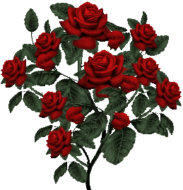 58330782_redrose81 (259x269, 193Kb)