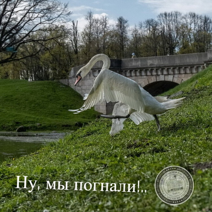 NuMyPognaly-19.05.2025+ (700x700, 168Kb)
