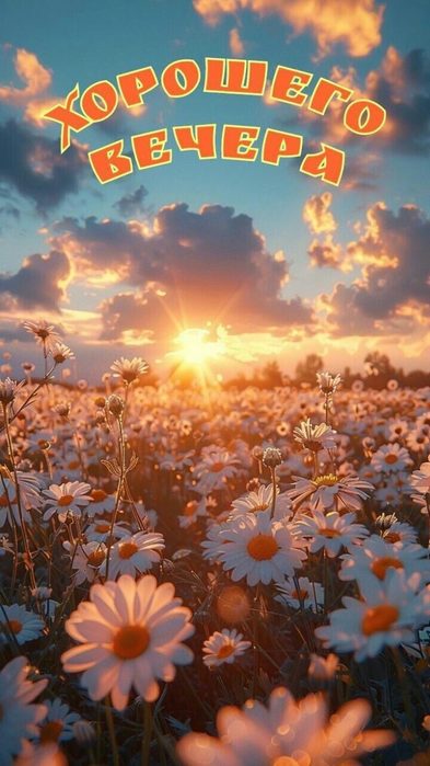 IMG_20250520_160434 (393x700, 58Kb)