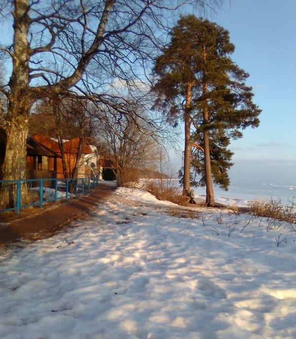 3109898_IMG_20240304_bereg (600x687, 238Kb)