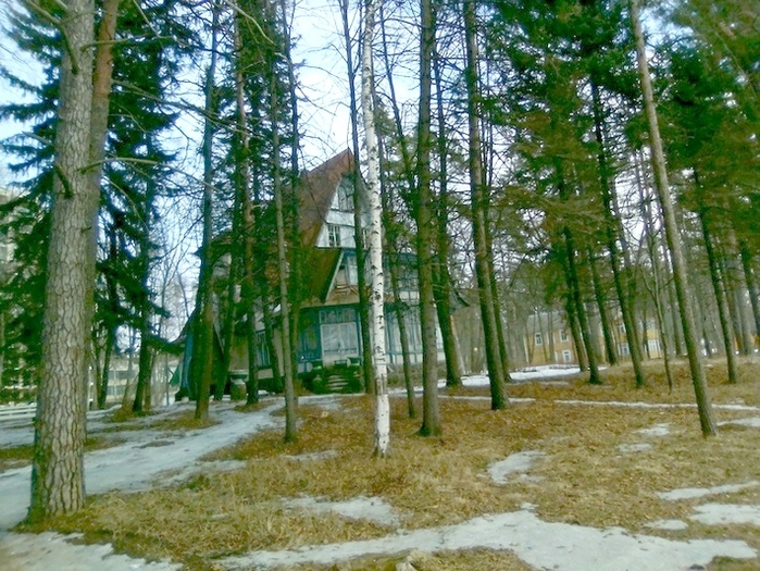 3109898_IMG_20240310_dom (700x525, 258Kb)