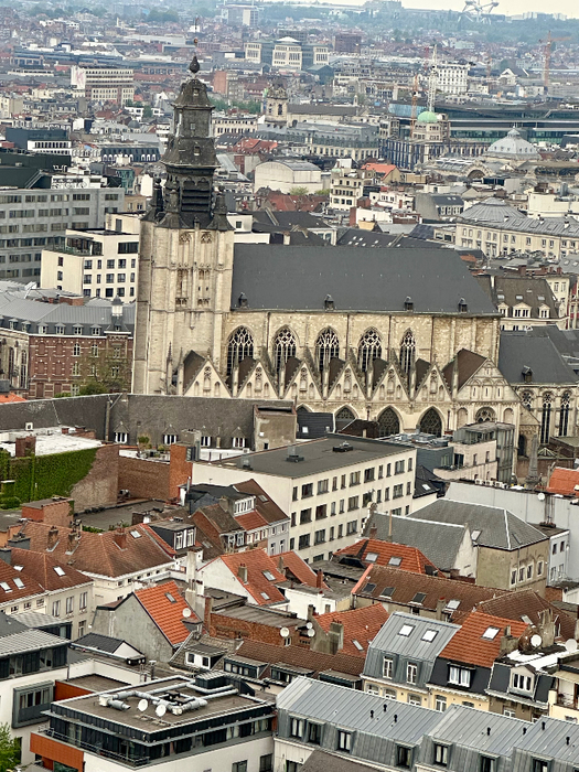 IMG_9416 (525x700, 560Kb)