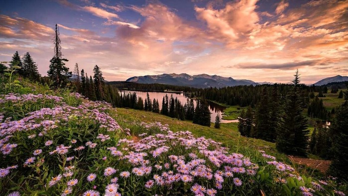 природа1а (700x393, 119Kb)