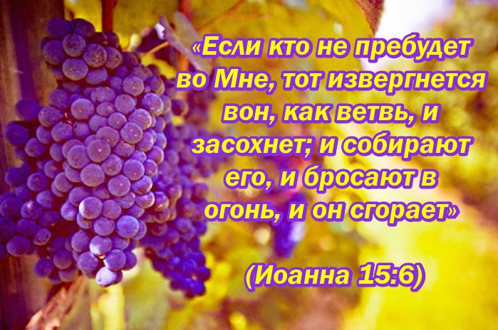 cpUG7Vpl9mJ3 (699x464, 65Kb)