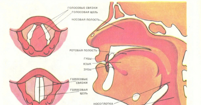 2835299_svyazki (700x366, 113Kb)