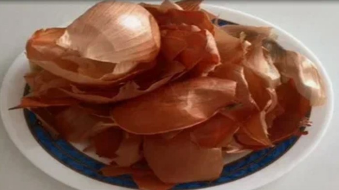 2835299_shelyha_1_ (700x392, 40Kb)