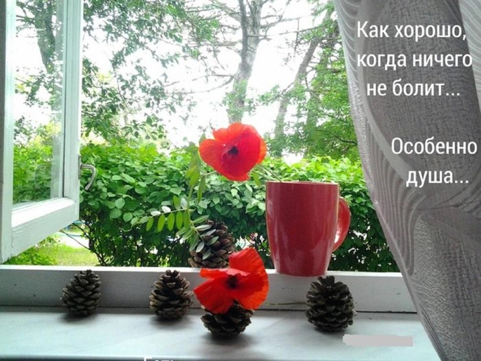 настр (700x525, 384Kb)