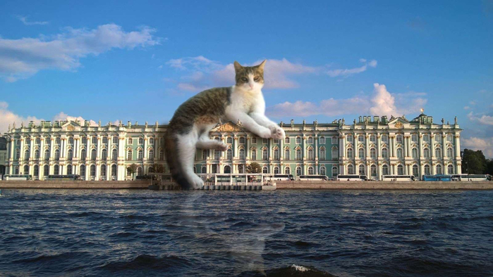 1680516943_animals-pibig-info-p-koti-ermitazha-zhivotnie-krasivo-13 (700x394, 292Kb)
