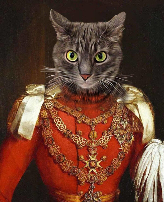 1680516988_animals-pibig-info-p-koti-ermitazha-zhivotnie-krasivo-80 (567x700, 429Kb)
