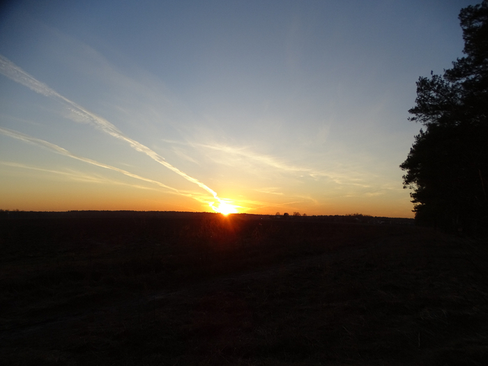 DSC00013 (700x525, 234Kb)