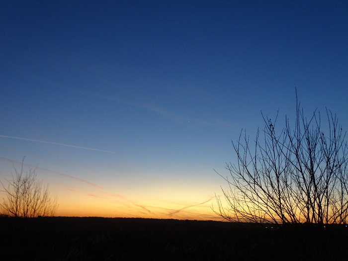 DSC00021 (700x525, 325Kb)