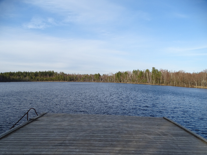 DSC00058 (700x525, 341Kb)