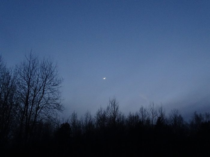 DSC00077 (700x525, 290Kb)