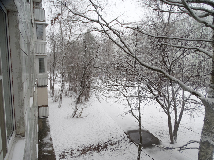 DSC00091 (700x525, 443Kb)