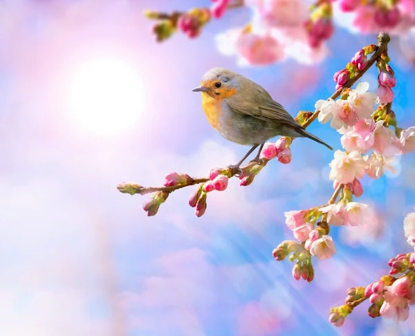 depositphotos_24428661-stock-photo-abstract-spring-border-background-with (600x486, 203Kb)