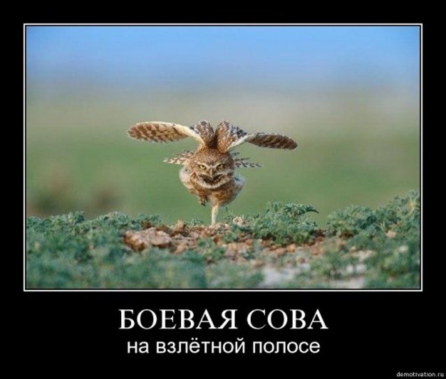 4743317_1254919374_004 (640x544, 40Kb)