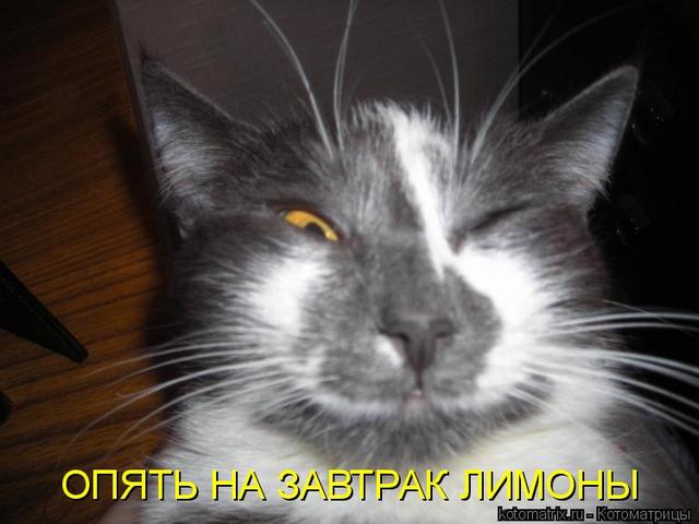 4743317_6v (640x480, 37Kb)