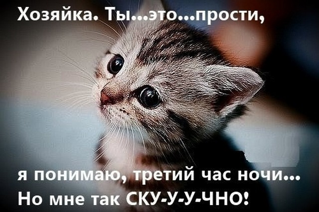 4743317_i24943 (640x426, 86Kb)