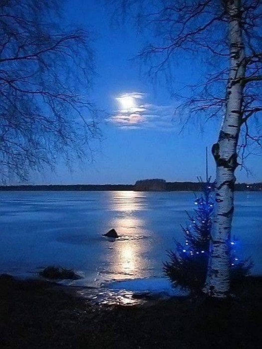 2920362_161917890_2920362_1662723839_57prirodaclubpaprelskayanochkrasivofoto60_1_ (525x700, 244Kb)