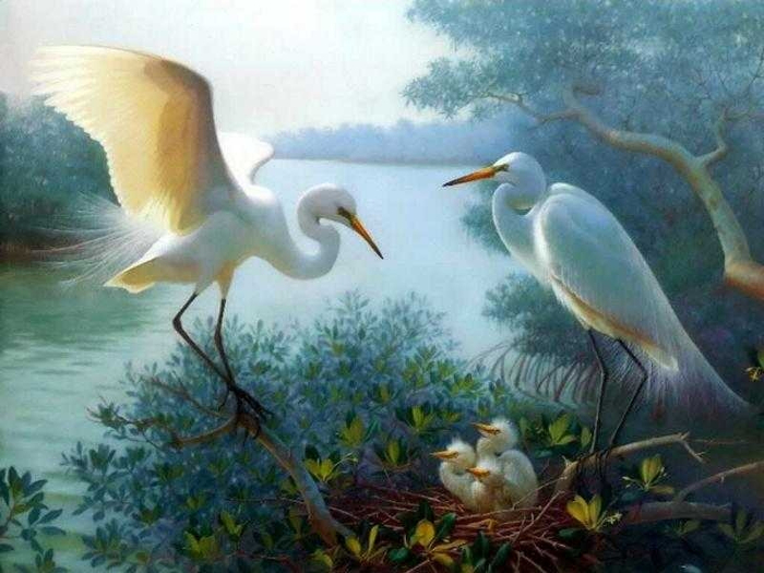 104384117_large_2 (700x525, 346Kb)