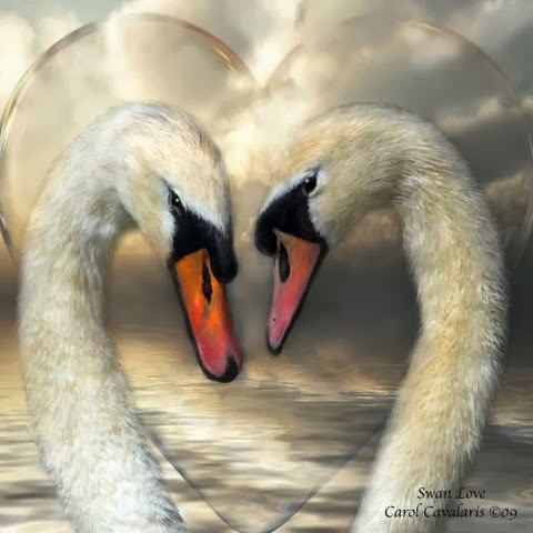 CarolCavalaris26 (480x480, 135Kb)