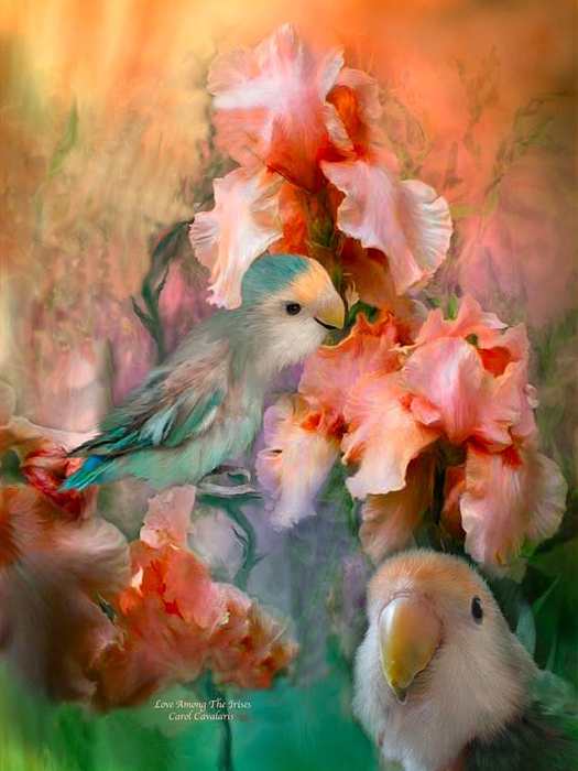 CarolCavalaris33 (525x700, 376Kb)