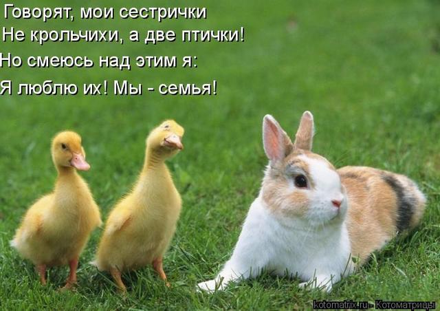 4743317_tw (640x452, 49Kb)