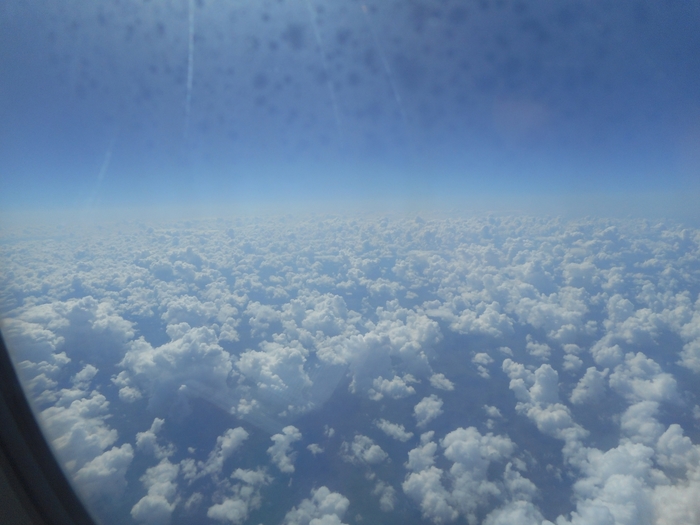 4752699_aaDSCN0675 (700x525, 214Kb)