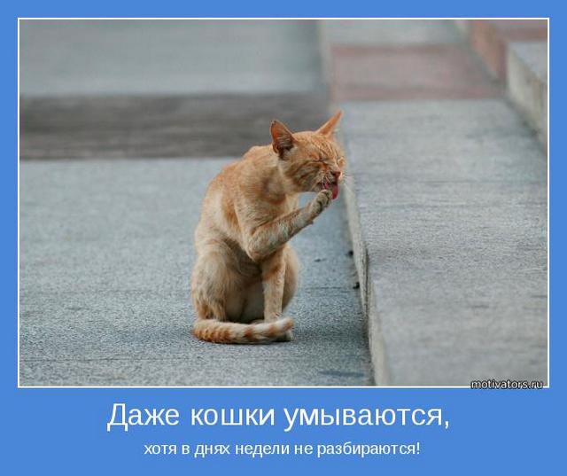 4743317_motivator60427 (640x537, 39Kb)
