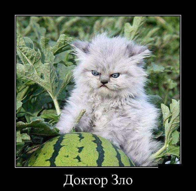 4743317_1441774991_27 (640x625, 58Kb)