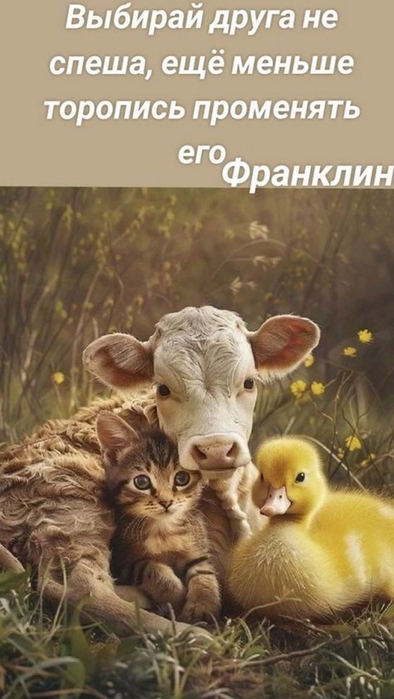 4743317_5c4ae63b8f0a8f32ddd1cdbb26056874 (394x700, 191Kb)
