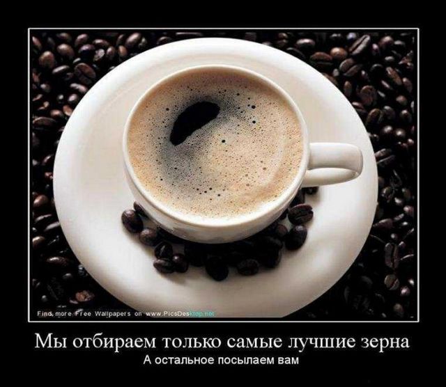 4743317_demotivatory_10 (640x556, 53Kb)