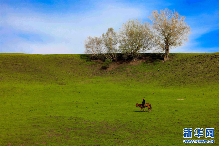 117914931_b846da40-2aa1-4a6b-9c42-ce26f1090579 (700x466, 621Kb)