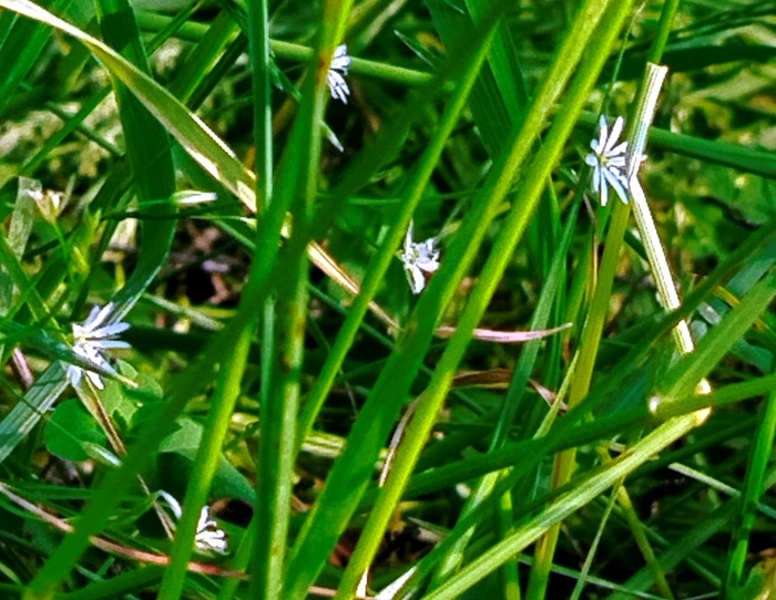  1 (700x542, 159Kb)