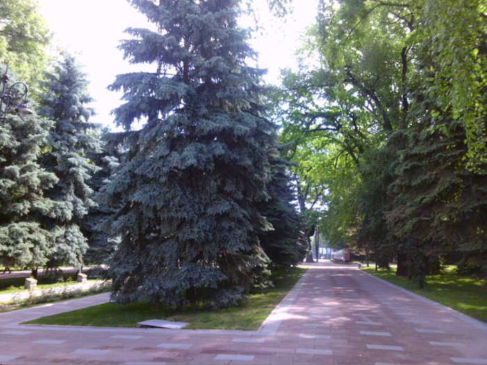 4752699_aaSUNP0106 (700x525, 54Kb)