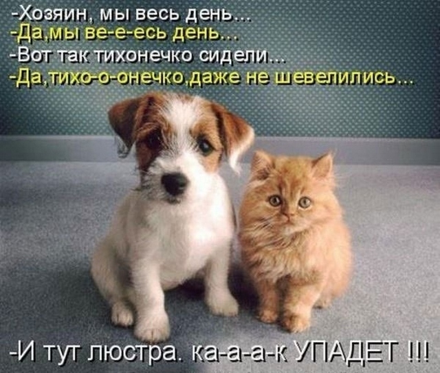 4743317_i25098 (640x542, 172Kb)