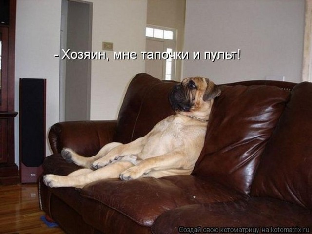 4743317_i25096 (640x480, 56Kb)