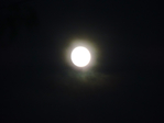  DSCN1781 (700x525, 240Kb)