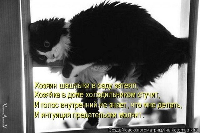 4743317_i25095 (640x427, 57Kb)