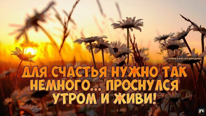счут1 (700x393, 347Kb)
