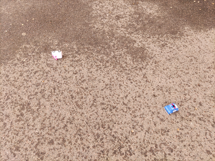 IMG_20250611_165956 (700x525, 582Kb)
